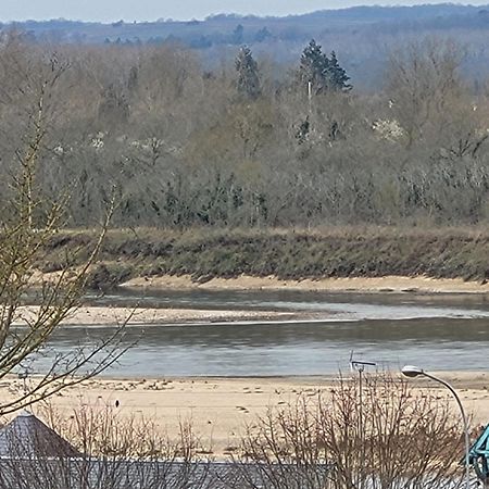 Joli Appartement Avec Vue Sur La Loire 阿姆博斯 外观 照片